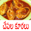Fish recipes in telugu(specials)