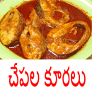 Fish recipes in telugu(specials) APK