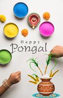 Sankranthi wishes and rangoli Special पोस्टर