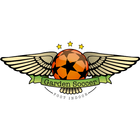 Garden Soccer иконка