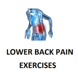 Lower Back Pain Exercises icon