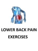 Lower Back Pain Exercises اسکرین شاٹ 3