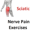 ”Sciatica Nerve Pain Exercises