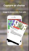 Plant ID: plant, tree, flower identification screenshot 1