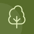 ”NZ Trees