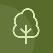 NZ Trees アイコン