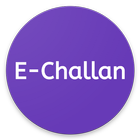 eChallan Status - Punjab Safe  icône