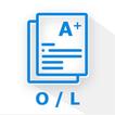 Examiner-OL 아이콘