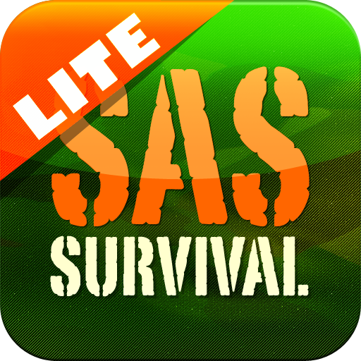 SAS Survival Guide - Lite