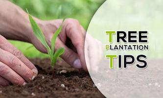 Tree  Plantation Tips. Ekran Görüntüsü 3