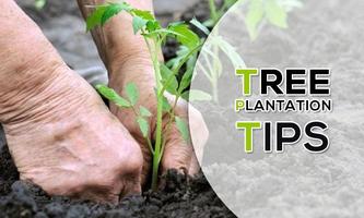 Tree  Plantation Tips. gönderen