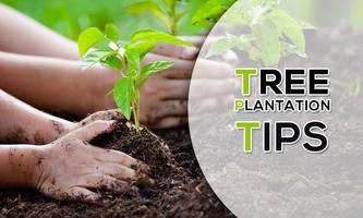 Tree  Plantation Tips. Ekran Görüntüsü 1