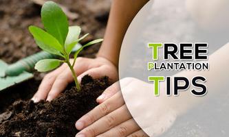 Tree  Plantation Tips. Ekran Görüntüsü 2