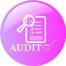 Audit Pro APK