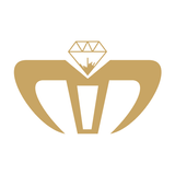 MODERN IMPEX icon