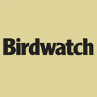 Birdwatch Magazine Zeichen