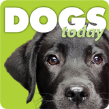 Dogs Today APK