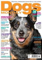 Dogs Monthly Affiche