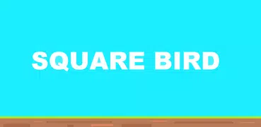 Square Bird - Flappy Chicken