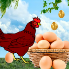 Egg Catcher Surprise: Catch The Eggs 2021 آئیکن
