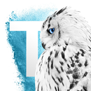 Tribal Edge College APAC APK