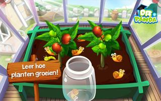 Dr. Panda Moestuin screenshot 2