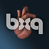 bodyxq Heart Anatomy Atlas