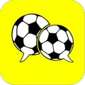 Football Fan
