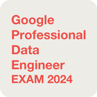 Professional Data Engineer icône