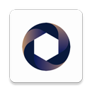 Copenhagen Democracy Summit APK