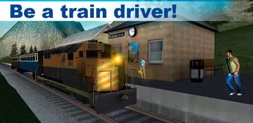 Train Motorman - Passengers Delivery