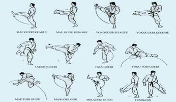 Trucos rápidos para aprender karate captura de pantalla 2