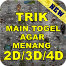 Trik Main Togel Agar Menang APK