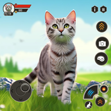 kotek gra pet cat