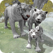 Famille du tigre des neiges