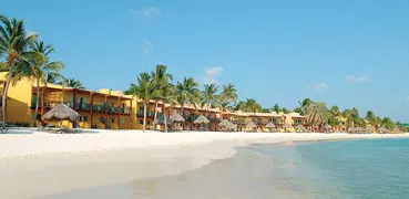 Visit Aruba Guide