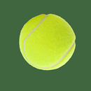 Pizarra de entrenamiento de Tennis APK