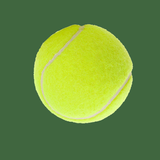 Pizarra de entrenamiento de Tennis icône