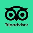 Tripadvisor иконка