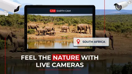 Скачать Живая камера: веб-камера Земли XAPK