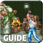 Icona Guide For Final Fight 2020