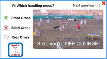 Dog Agility Crosses Quiz captura de pantalla 1