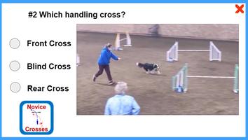 Dog Agility Crosses Quiz captura de pantalla 3