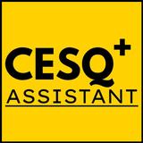 CESQ Assistant