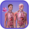 Human Anatomy : Female APK