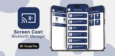 Screen Cast: Bluetooth Manager