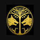 Support FM APK