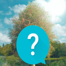 Bridgerton TV Show Trivia APK