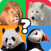 ”Animal Quiz Guess their Answer