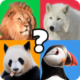 Animal Quiz आइकन